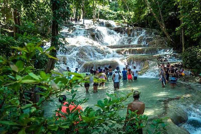 Dunns River Falls plus Bob Marley Nine Mile Private Tour - Who Should Book This Tour?