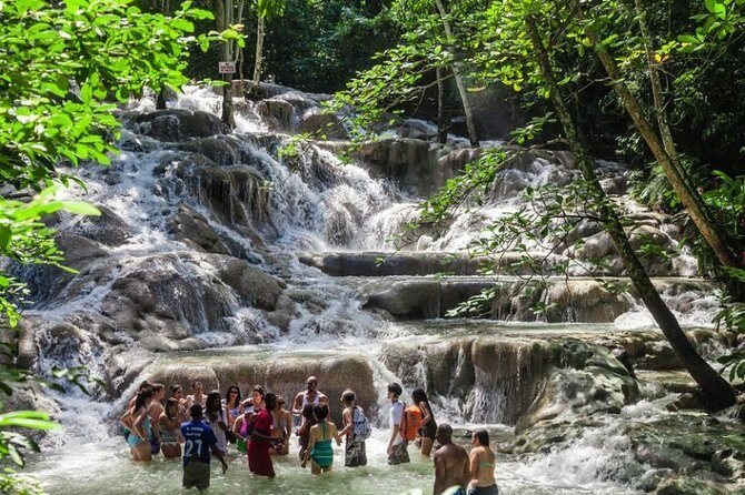 Dunns River Falls plus Bob Marley Nine Mile Private Tour - The Sum Up