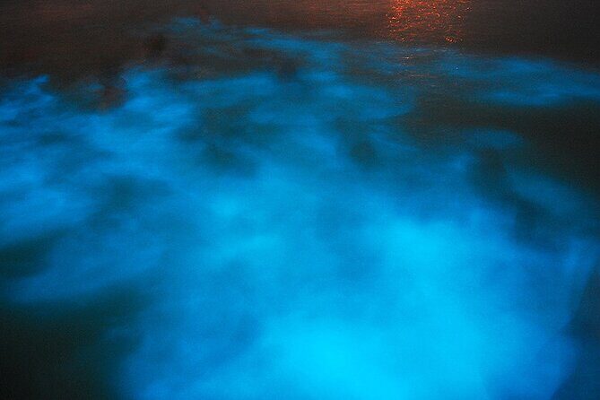 Dunn's River Falls plus Luminous Lagoon (Glistening Water)Private Tour - Authentic Experiences and Honest Insights