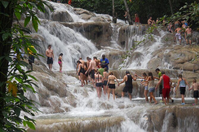 Dunn's River Falls plus Luminous Lagoon (Glistening Water)Private Tour - Who Is This Tour Best For?
