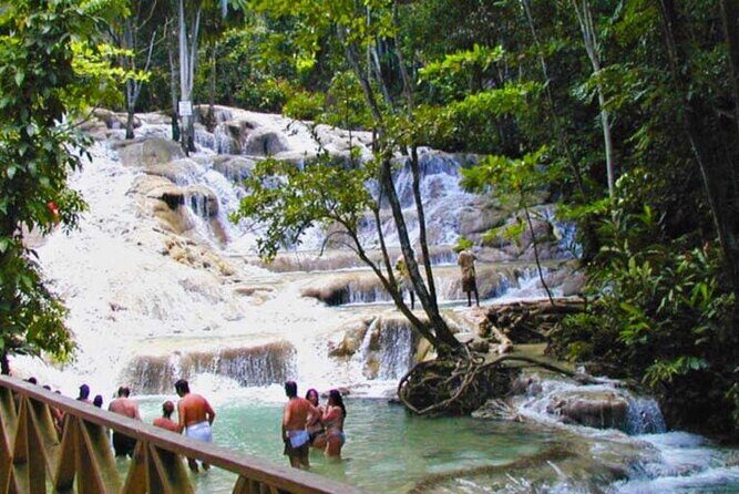 Dunn's River Falls Private Tour - Final Thoughts