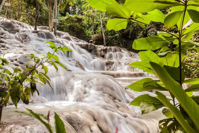 Dunns River Falls Private Tour From Montego Bay - Getting the Most From Your Tour