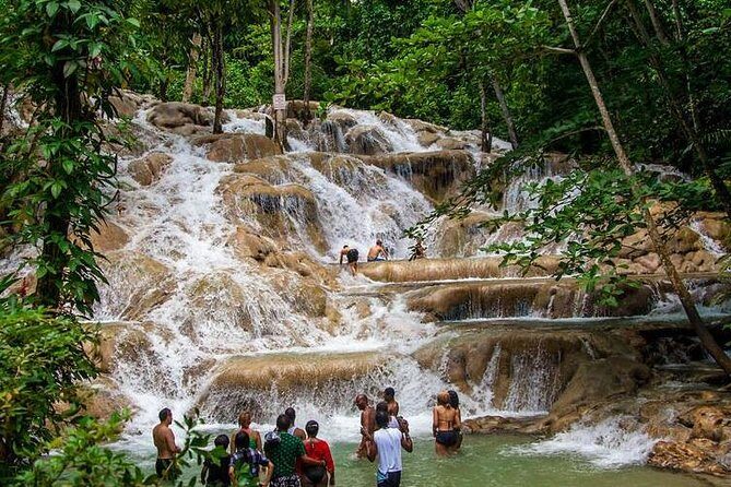 Dunns River Falls Scenic Tour - Exploring the Dunns River Falls Scenic Tour: A Detailed Review