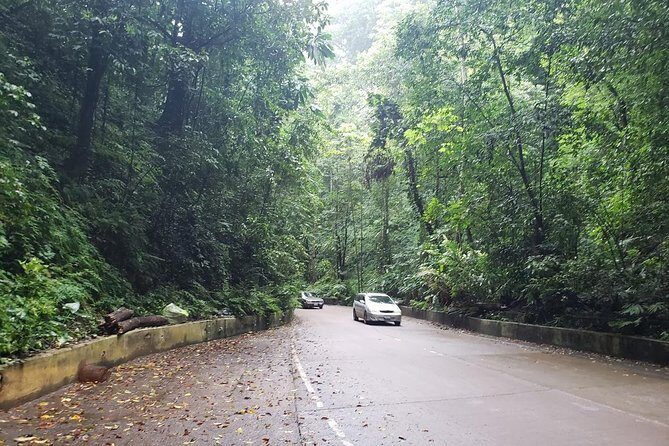 Dunns River Falls Scenic Tour - Key Points