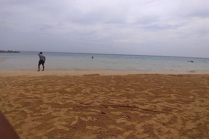 Dunns River Falls Scenic Tour - Who Will Love This Tour?