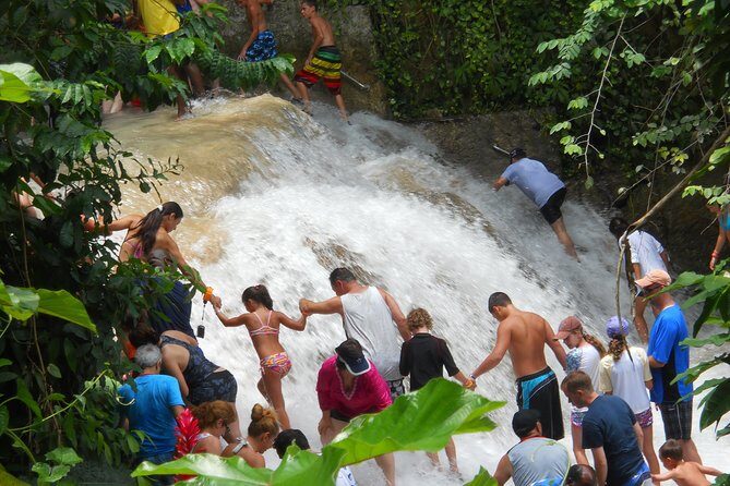 Dunn's River Falls Tour from Ocho Rios - Why This Tour Is Perfect for Certain Travelers