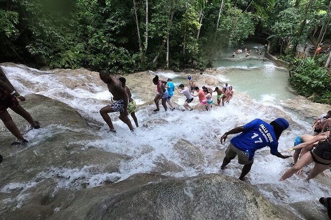 Dunns River Falls With Private Transportation from Montego Bay - Who Will Love This Tour?