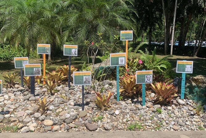 Dunn's River Falls, Zipline Adventure from Kingston - Key Points