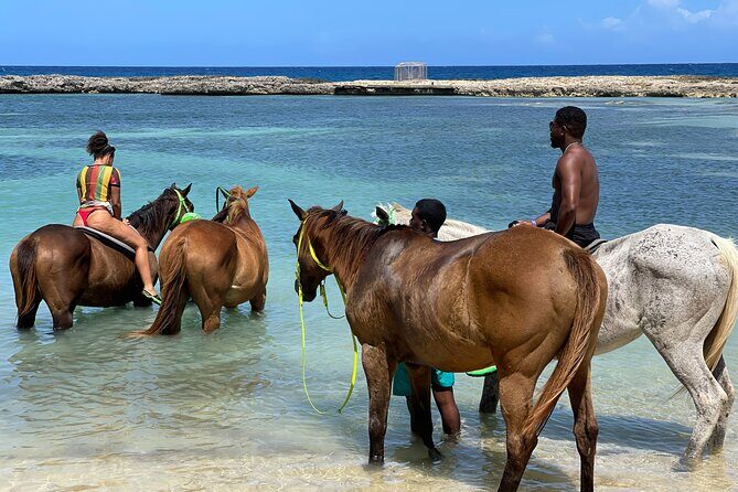 Dunns River Falls, Zipline, Bamboo Rafting & Horseback Tour - Final Thoughts