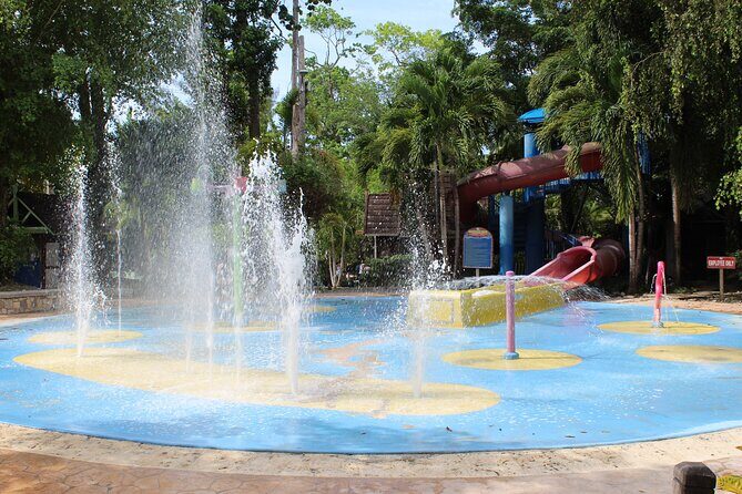 Dunn's River Park & Blue Hole Waterfall Combo from Montego Bay - Practical Tips & Considerations