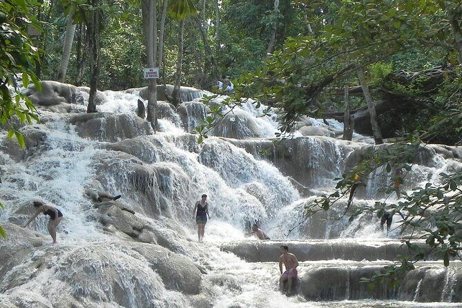 Dunns River Tour - What the Reviews Tell Us