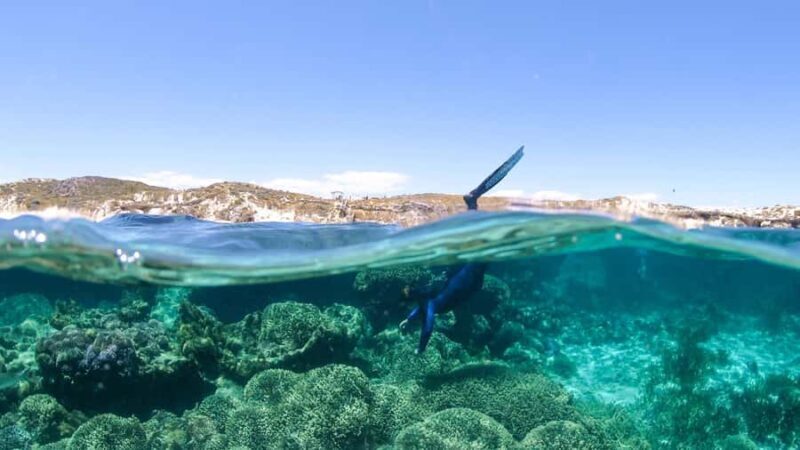 Dunsborough: Geographe Bay Eco & Snorkel Boat Tour - An In-Depth Look at the Dunsborough Eco & Snorkel Boat Tour