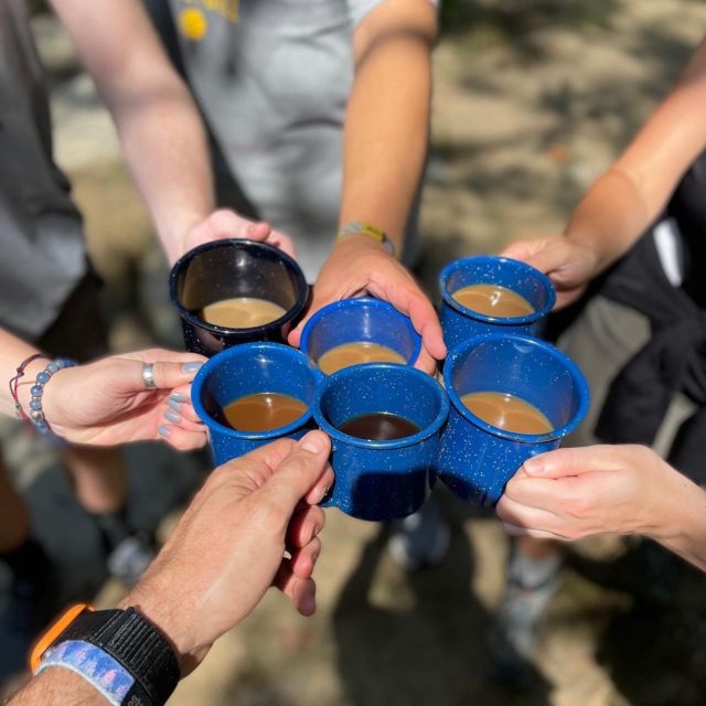 Dupont State Forest: Three Waterfalls Hike With Coffee Brew - Highlights