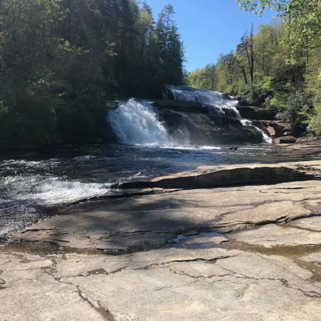 Dupont State Forest: Three Waterfalls Hike With Coffee Brew - Trail Description