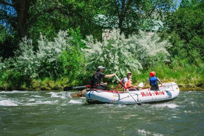 Durango 1/4 Day Rafting Trip - Lower Animas River - A Deep Dive Into the Durango Rafting Experience