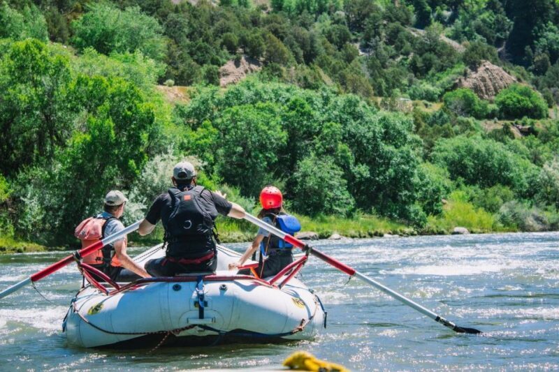 Durango Half Day Rafting Trip - Lower Animas River - The Cost and Value