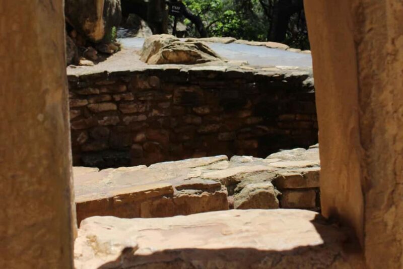 Durango: Mesa Verde National Park, Cliff Palace Tour w/Lunch - What to Expect on Your Day Trip to Mesa Verde