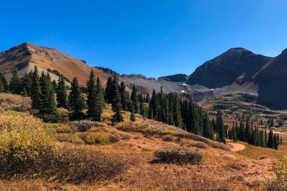 Durango: Waterfalls and Mountains La Plata Canyon Jeep Tour - Spotting Wildflowers and Wildlife