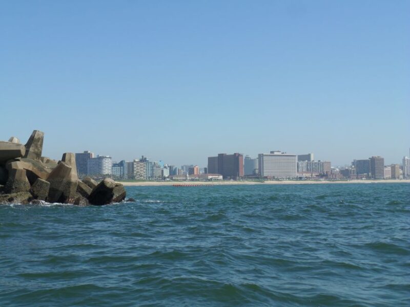Durban: 1-Hour Boat Cruise From Wilsons Wharf - Good To Know
