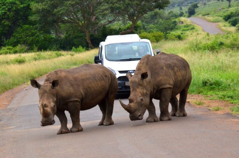 Durban: Hluhluwe Imfolozi Safari & Isimangaliso Tour - Good To Know