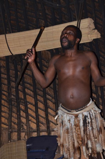 Durban: Phezulu Cultural Village & Reptile Park Tour - Captivating Zulu Dancing Performance