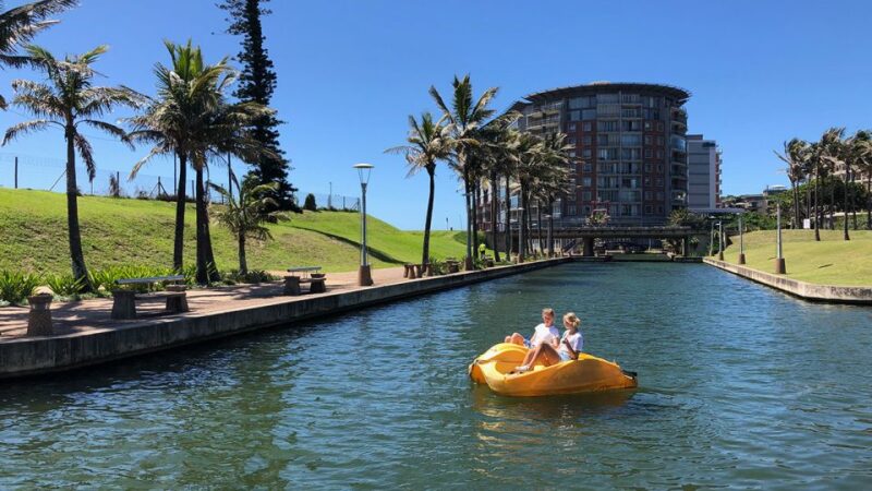 Durban: Waterfront Canals Pedal Boat Rental - Discovering the Marine Life