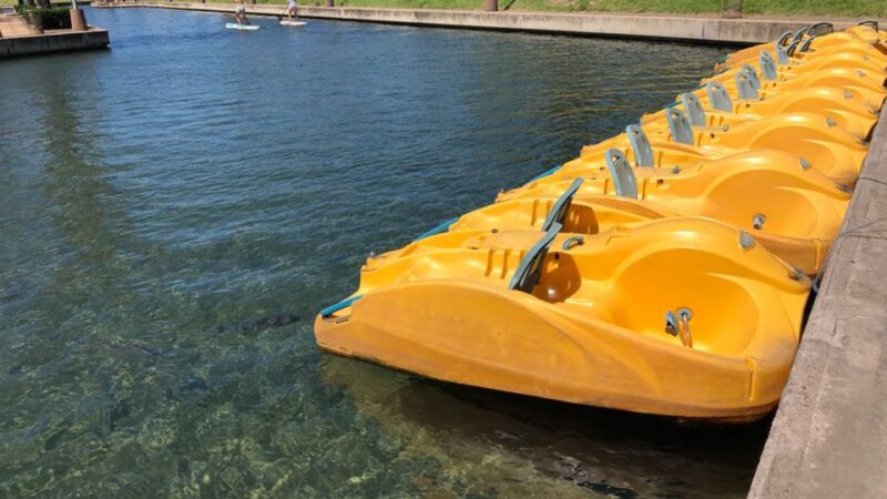 Durban: Waterfront Canals Pedal Boat Rental - Getting to the Meeting Point