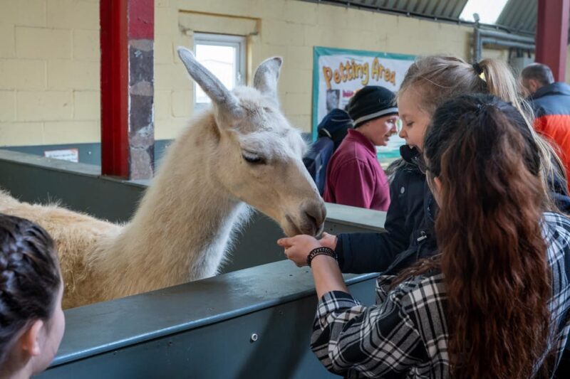 Durham: Adventure Valley Mini Golf Admission Ticket - Frequently Asked Questions