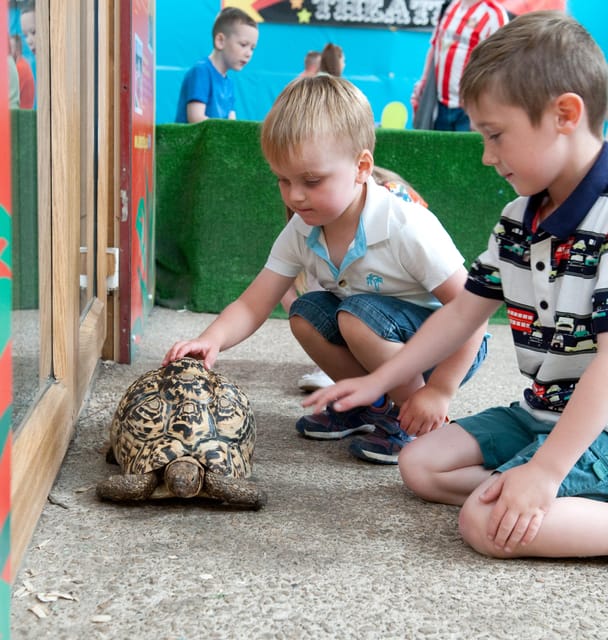 Durham: Adventure Valley & Summertime Fun - Rides and Play Areas