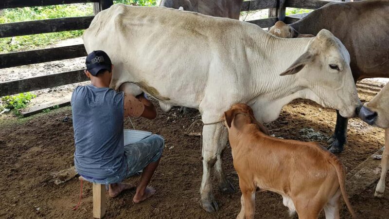 Durrës/Golem/Shkoder: Theth & Blue Eye Day Tour Alps - Final Thoughts