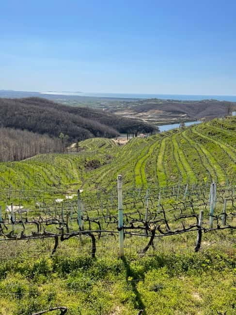 Durres & Wine Tasting Tour - The Real Benefits: Why Choose This Tour?