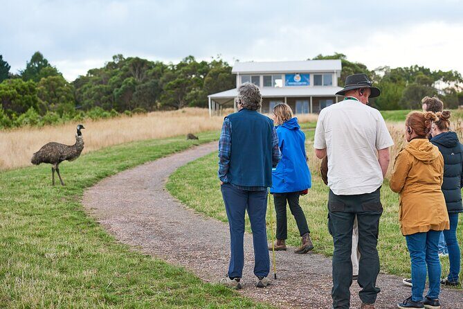 Dusk Discovery Tour - Key Points