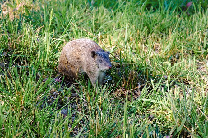 Dusk Discovery Tour - Sunset and Photography Opportunities