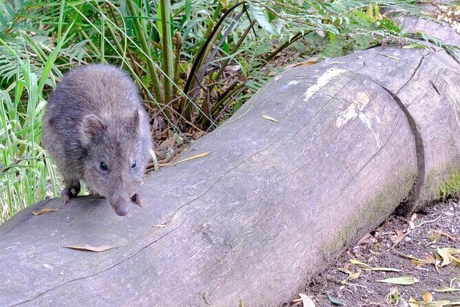 Dusk Discovery Tour - What Our Reviewers Say