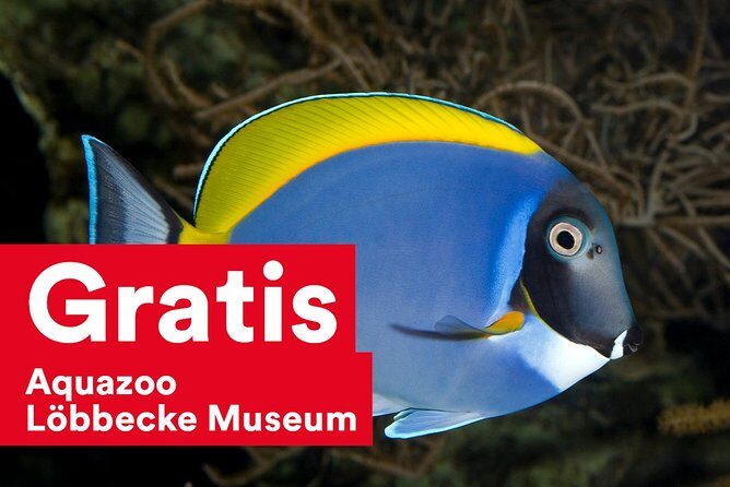 DüsseldorfCard for 24/48/72/96 hours - Final Thoughts