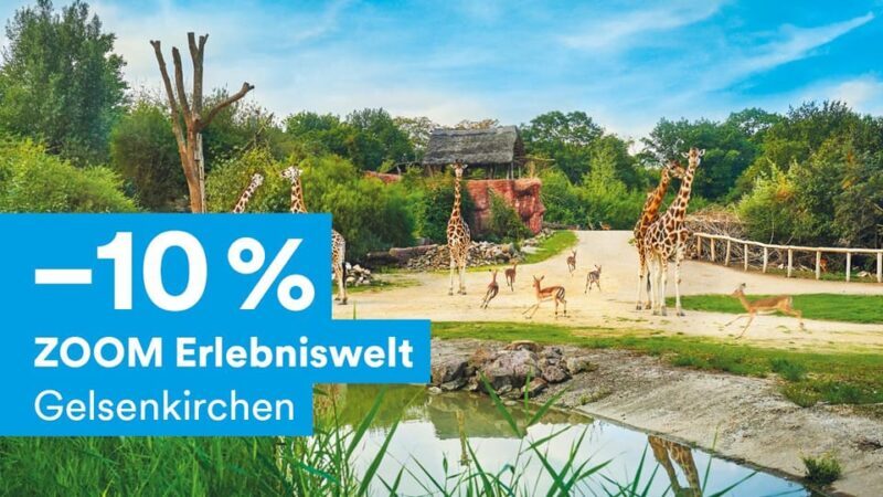 DüsseldorfCard Plus - Transportation Benefits: Free Rides and Flexibility