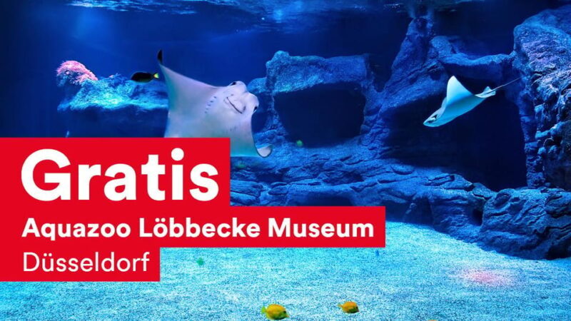 DüsseldorfCard Plus - The Attractions and Sights