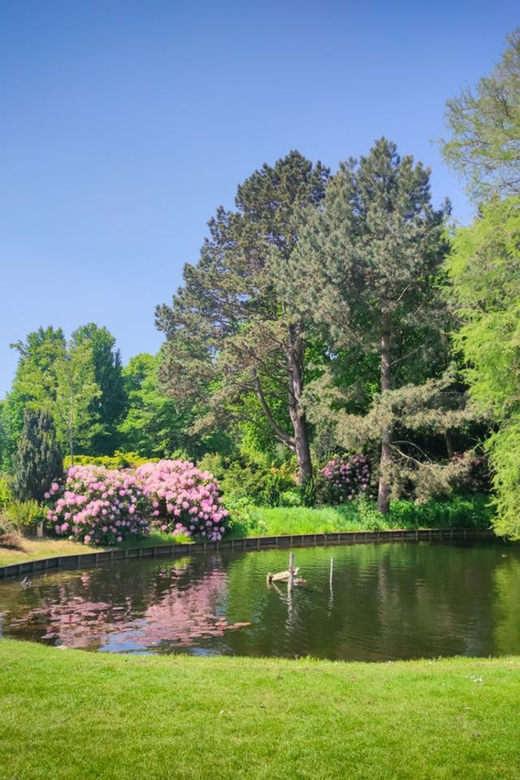 Dutch Delights: A Family Journey Through The Hague - Good To Know