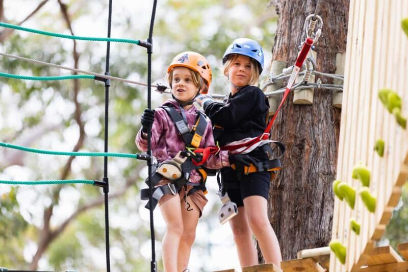 Dwellingup: Junior Tree Ropes Course - What to Expect: The Course Breakdown