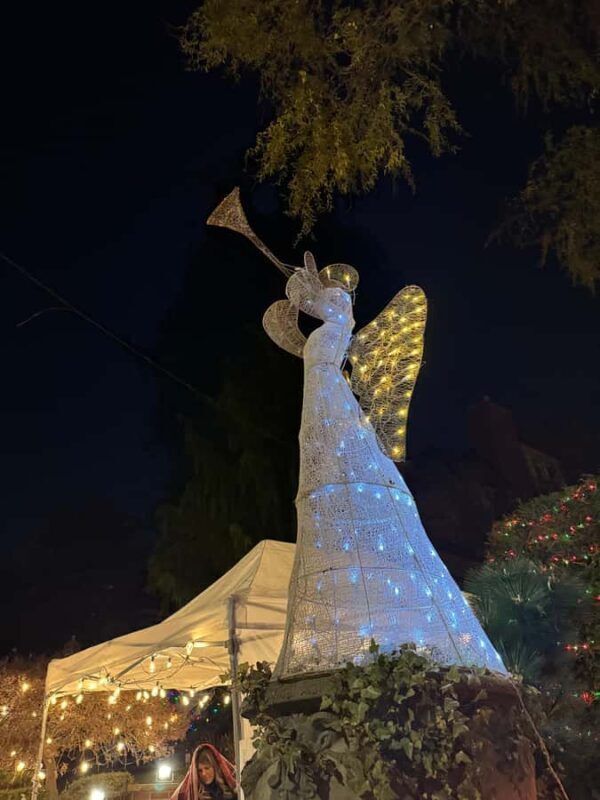 Dyker Heights Christmas Lights Bus Tour - In-Depth Breakdown of the Experience