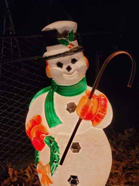 Dyker Heights Christmas Tour: Magic of Christmas in New York - Value and Experience: What You’re Getting for Your Money