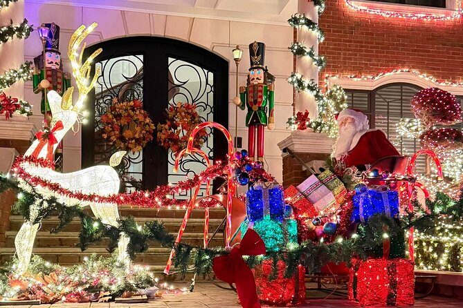 Dyker Lights Christmas Trolley Experience - Who Should Consider This Tour