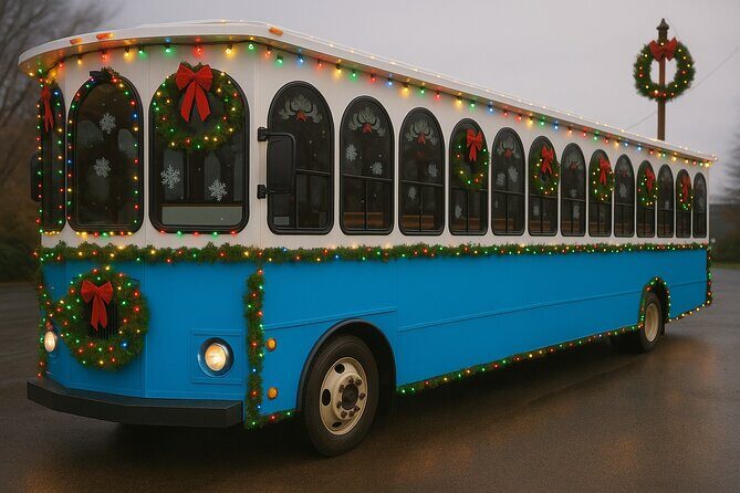 Dyker Lights Christmas Trolley Experience - The Sum Up