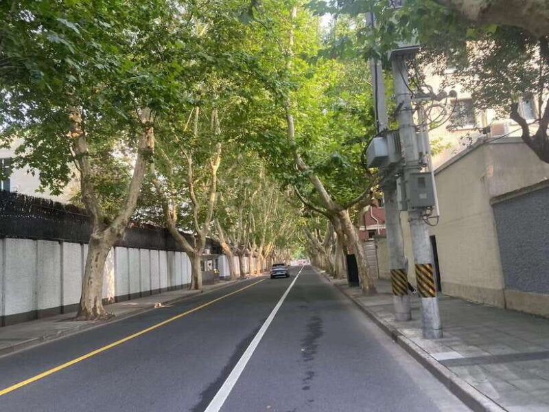 E-Bike Adventure Tour in Shanghai - Key Points