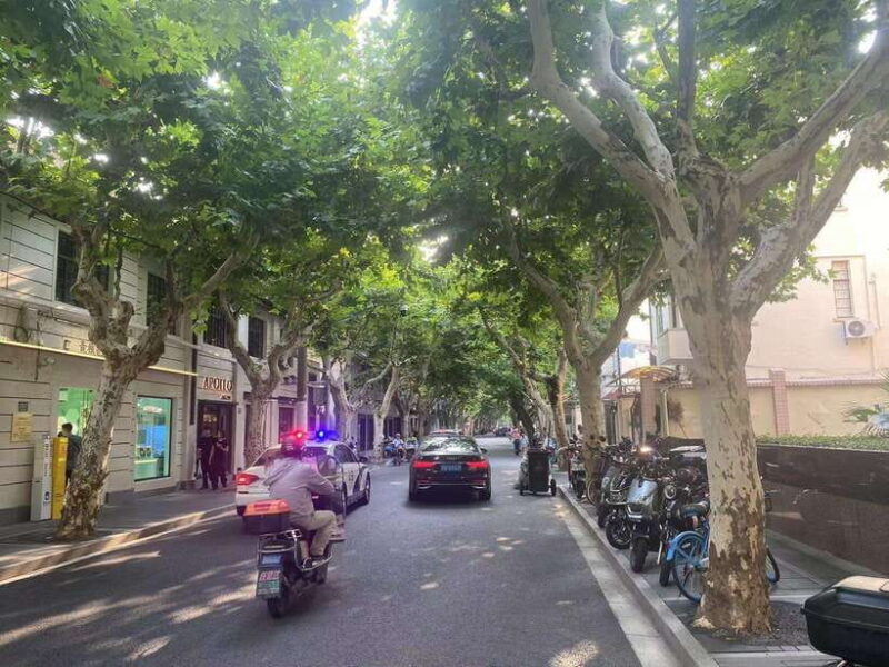 E-Bike Adventure Tour in Shanghai - Exploring Shanghai on Two Wheels: A Practical Overview