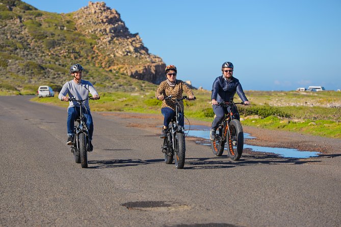 E-Bike Cape Peninsula Tour - Pickup and Accessibility