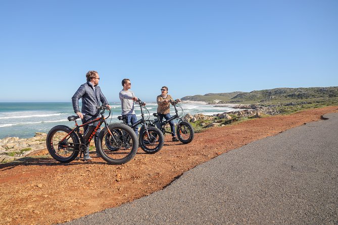 E-Bike Cape Peninsula Tour - Scenic Viewpoints