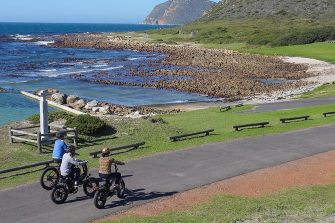 E-Bike Cape Peninsula Tour - Wildlife Encounters