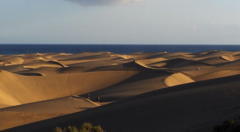 E-Bike City Tour With Camel Safari on Maspalomas Sand Dunes - Explore Playa Del Ingles by E-Bike