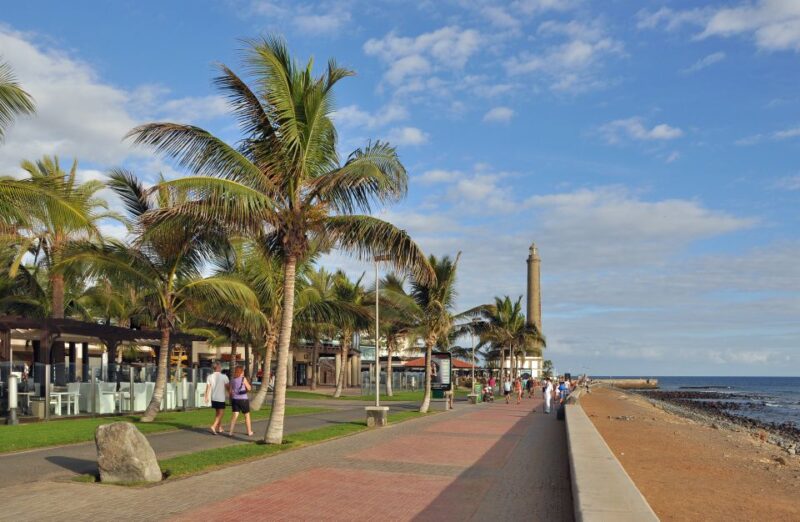 E-Bike City Tour With Camel Safari on Maspalomas Sand Dunes - Panoramic Viewpoints and Birdwatching